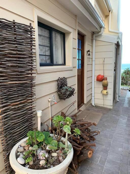 Baby Whale Bliss - Beachfront House Witsand Exterior foto